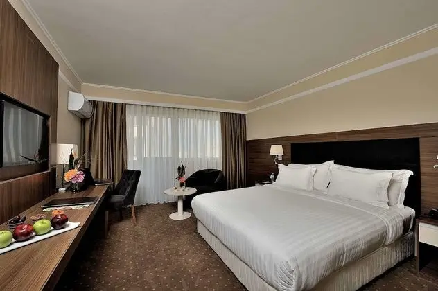 Deluxe Tek Büyük veya İki Ayrı Yataklı Oda, Şehir Manzaralı