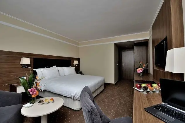 Deluxe Tek Büyük veya İki Ayrı Yataklı Oda, Şehir Manzaralı