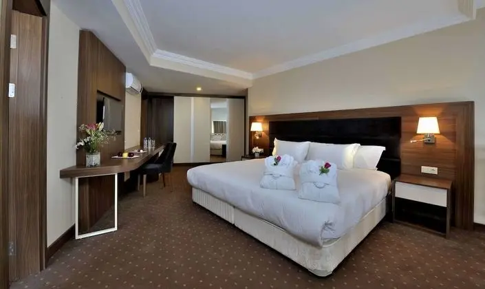 Deluxe Tek Büyük veya İki Ayrı Yataklı Oda, Şehir Manzaralı