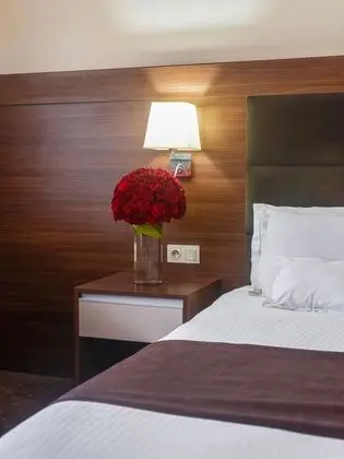 Deluxe Tek Büyük veya İki Ayrı Yataklı Oda, Şehir Manzaralı