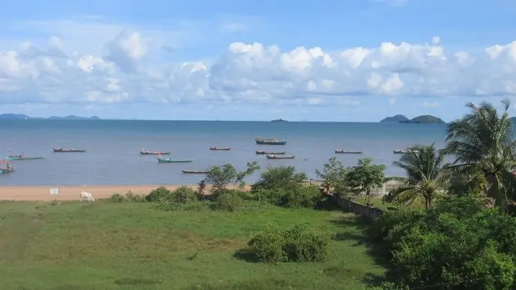 Fan One Bed