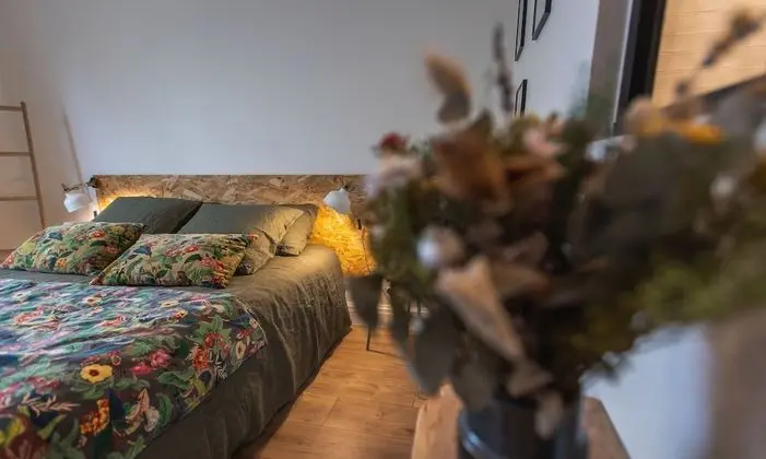 Deluxe Tek Büyük Yataklı Oda, 1 Büyük (Queen) Boy Yatak (E)