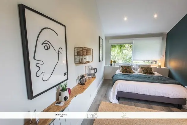 Deluxe Tek Büyük Yataklı Oda, 1 Büyük (Queen) Boy Yatak (K)