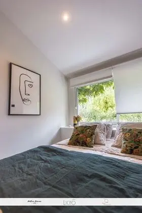 Deluxe Tek Büyük Yataklı Oda, 1 Büyük (Queen) Boy Yatak (K)