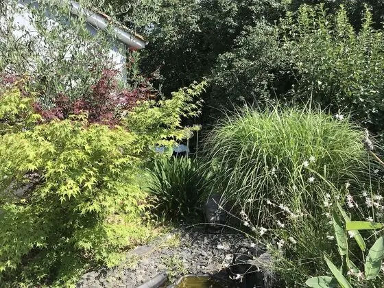 Deluxe Tek Büyük Yataklı Oda, 1 Büyük (Queen) Boy Yatak (K)