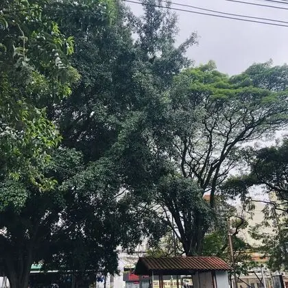 Comfort Tek Kişilik Oda