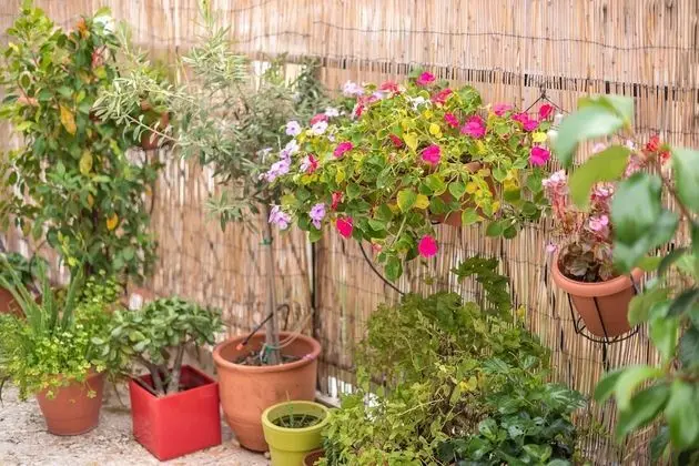 Superior Apart Daire