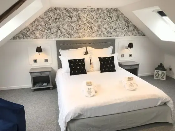 Comfort Tek Büyük Yataklı Oda, Özel Banyo