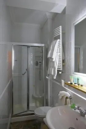 Standard Tek Büyük Yataklı Oda, Banyolu/Duşlu (Camellia)