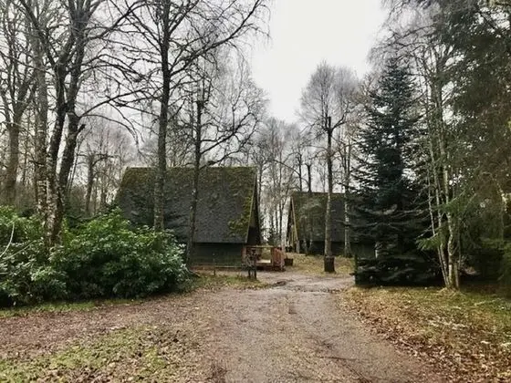 Ev