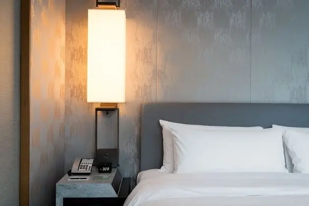 Deluxe Oda, 1 En Büyük (King) Boy Yatak, Şehir Manzaralı