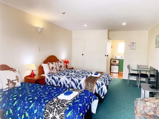 Standard Stüdyo, Sigara İçilmez, Küçük Mutfak (Large Studio Unit)