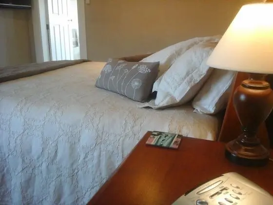 Room with King Bed Richmond