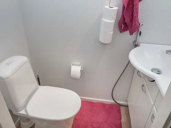 Ev