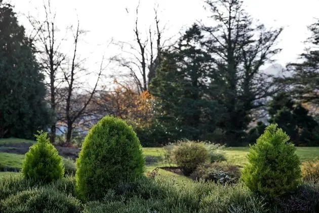 Keswick Suite (Mountain View)