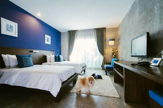 Deluxe İki Ayrı Yataklı Oda