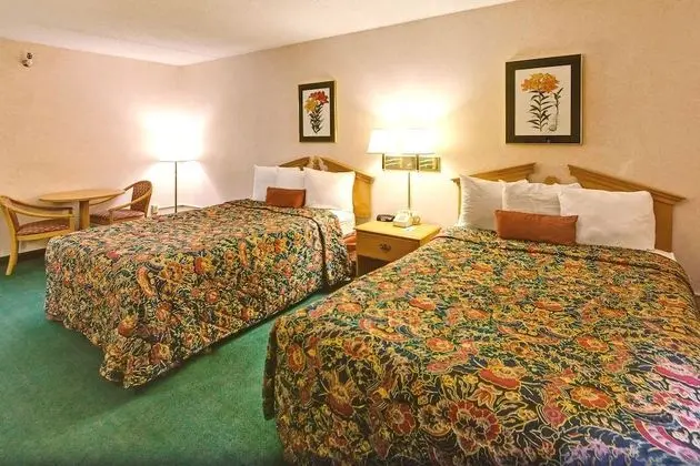 Deluxe Oda, 2 Çift Kişilik Yatak, Engellilere Uygun, Sigara İçilmez