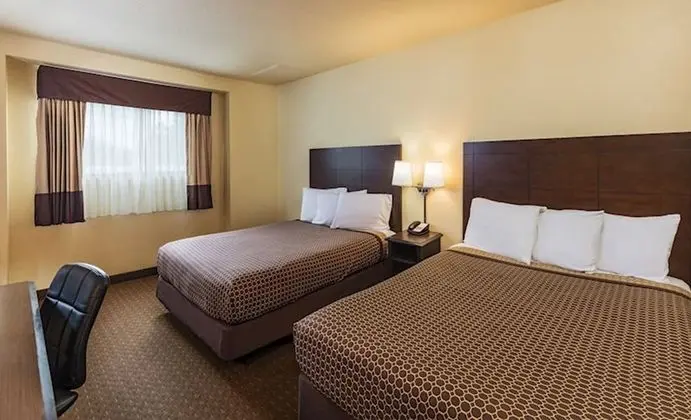 Süit