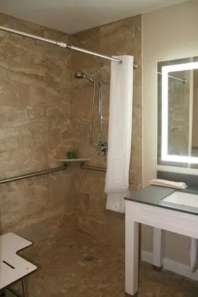 Deluxe Süit, 1 En Büyük (King) Boy Yatak, Engellilere Uygun, Sigara İçilmez