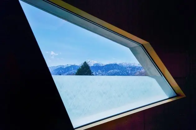 Deluxe İki Ayrı Yataklı Oda (Forest View)