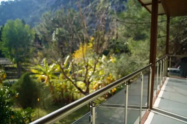 Junior Suite, 1 Bedroom, Terrace