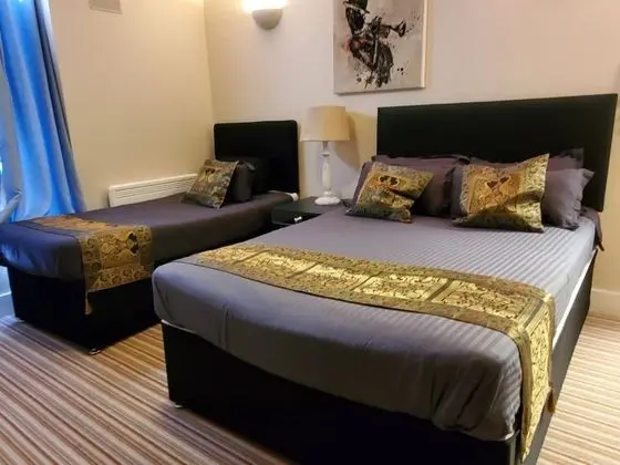 Deluxe Tek Büyük Yataklı Oda (Room 1)