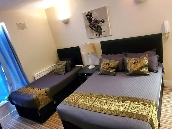 Deluxe Tek Büyük Yataklı Oda (Room 1)