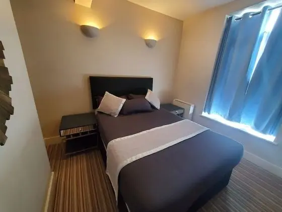 Deluxe Tek Büyük Yataklı Oda (Room 2)