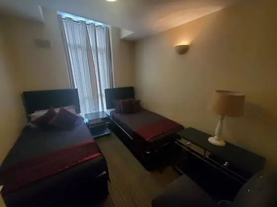 Deluxe Tek Büyük Yataklı Oda (Room 2)