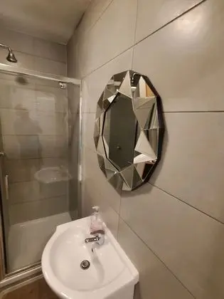 Deluxe Tek Büyük Yataklı Oda (Room 2)
