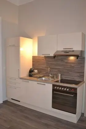 City Apart Daire, 1 Yatak Odası, Mutfak, Şehir Manzaralı (Reichsratsstrasse 17)