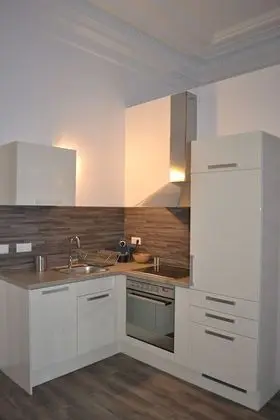 Deluxe Stüdyo, Mutfak, Şehir Manzaralı (Reichsratsstrasse 17)