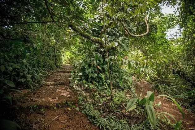 Odadan manzara