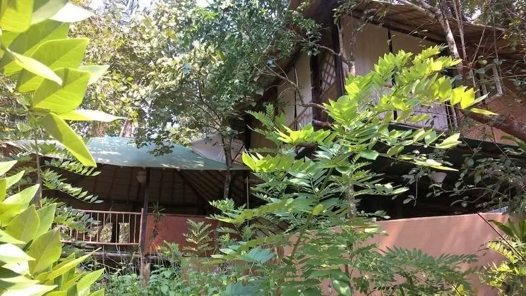 Traditional Ağaç Ev, 1 Yatak Odası