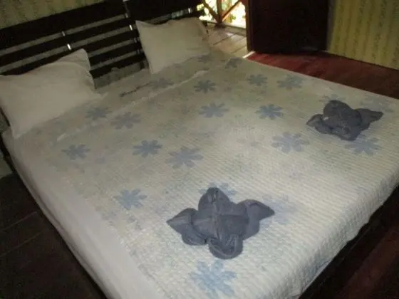 Deluxe Tek Kişilik Oda, Sigara İçilmez, Resort Manzaralı