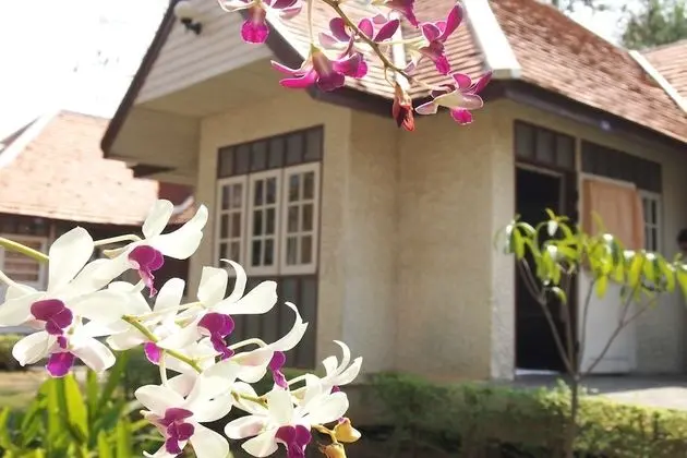 Standard Twin Villa