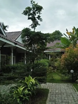 Standard Oda