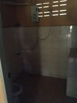 Kır Evi (Standard Palm Fan)