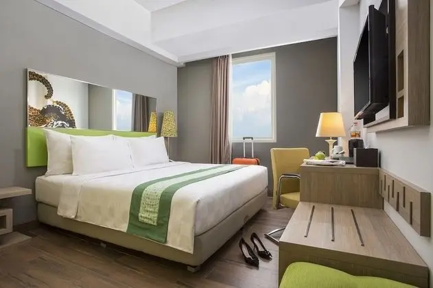 Deluxe Tek Büyük Yataklı Oda