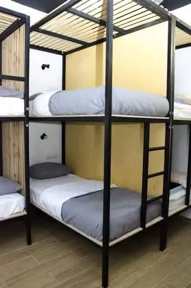 Economy Ortak Ranzalı Oda, Karma Ranzalı Oda (Bed in 12-Bed Dormitory)