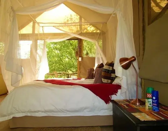 Family Tent (3 ppl)