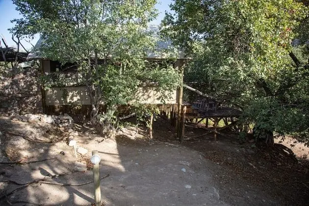 Family Tent (3 ppl)