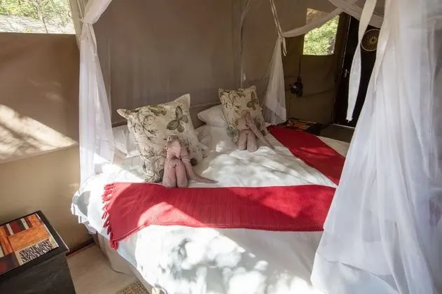 Standard Tent (Double or Twin)
