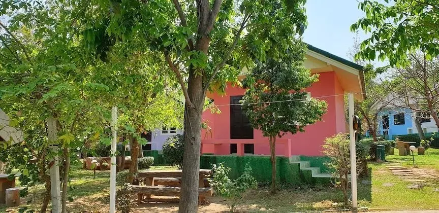 Basic Üç Kişilik Oda, 1 En Büyük (King) Boy Yatak, Sigara İçilmez