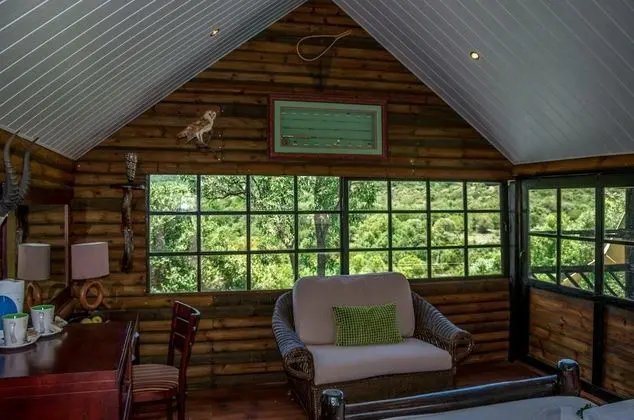 Kingfisher Cabin Top