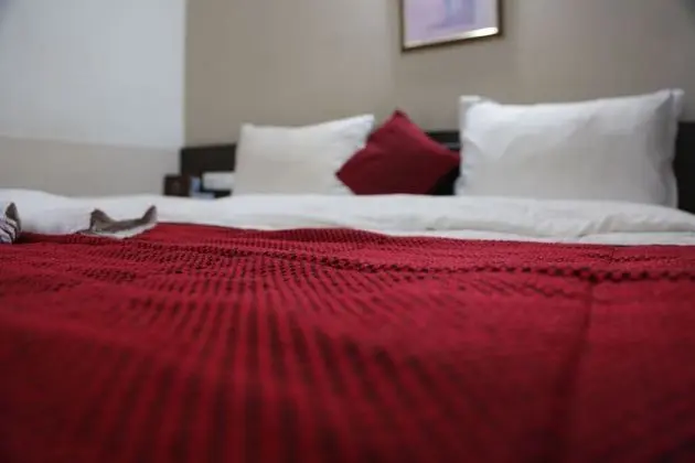 Deluxe Oda, 1 Çift Kişilik Yatak, Sigara İçilmez
