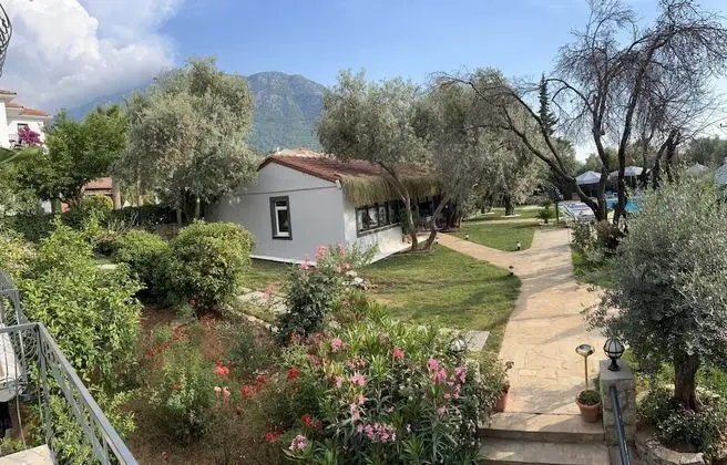 Basic Oda, 1 Yatak Odası