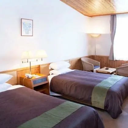 Standard İki Ayrı Yataklı Oda, Sigara İçilmez