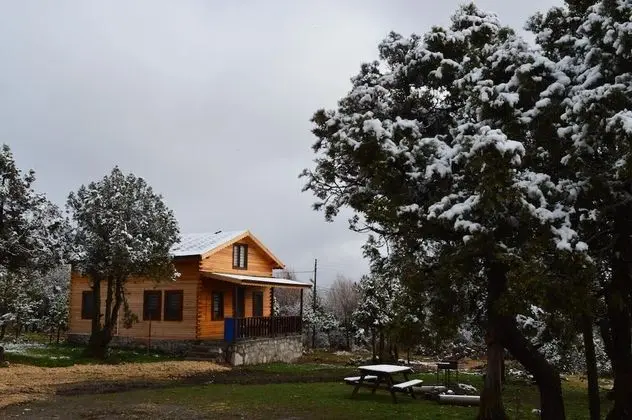 Comfort Dağ Evi