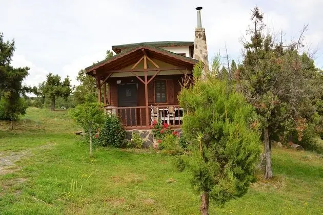 Standard Dağ Evi